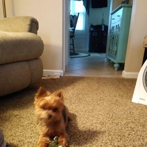 Meet your Posher, Gail